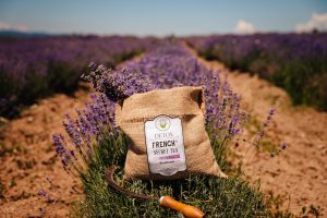Супер цени на оригинален детокс чай от French secret tea